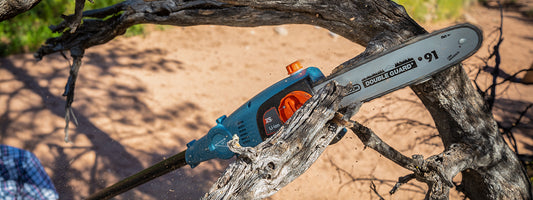 The Importance of Tree Trimming