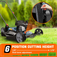 21" 125cc 4-Cycle Briggs & Stratton Engine Gas Push Lawn Mower with 2-in-1 Mulching, Side Discharge