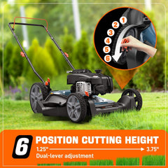 SENIX 21" 125cc Gas Powered Push Lawn Mower | SENIX Tools