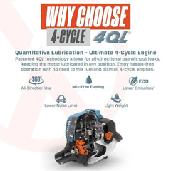 Cutaway view of 4-cycle engine with 4QL lubrication technology features and benefits