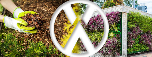 Hands with green gloves holding mulch next to green plants and a vertical garden wall with purple and green foliage