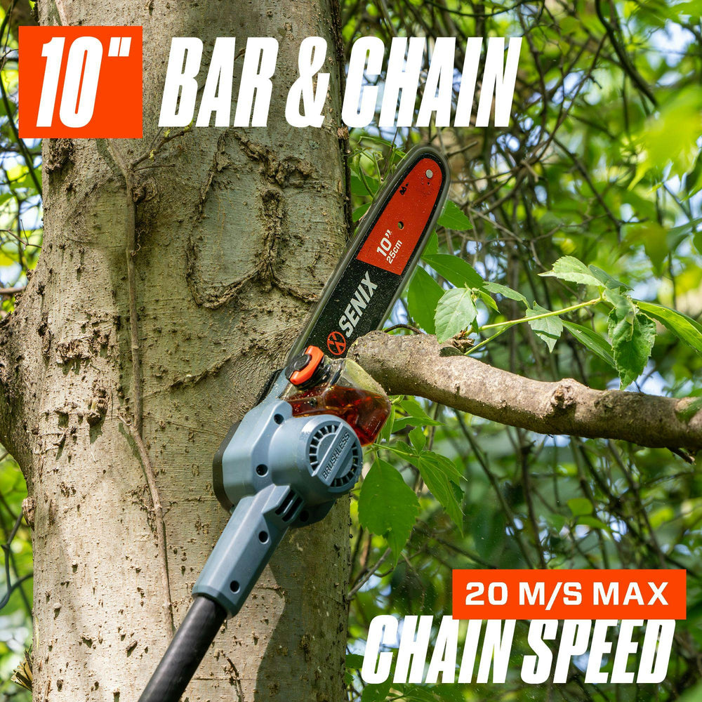 10-Inch Bar and Chain