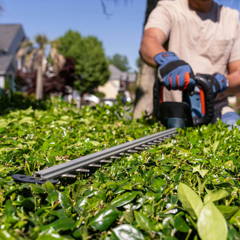 60V Max* X6 26-Inch Cordless Hedge Trimmer, Brushless (Battery and Charger Included)  HTX6-M1