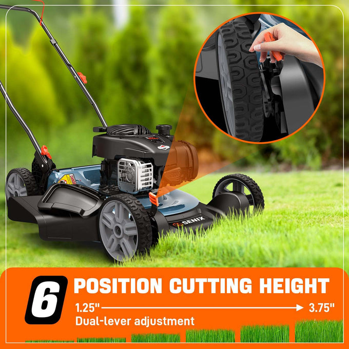 6-Position Height