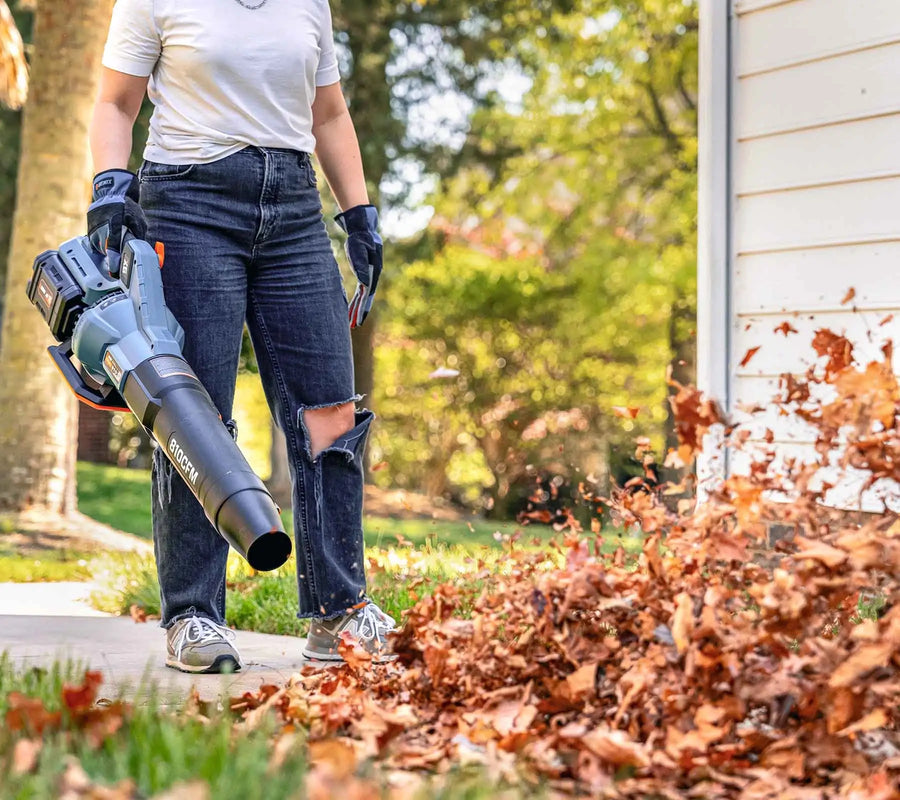 Fall Cleanup