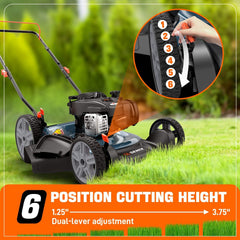 SENIX 21" 140cc 4-Cycle Briggs & Stratton Engine Gas Push Lawn Mower w | Lawn Mowers | SENIX 21" 140cc 4-Cycle Briggs & Stratton Engine Gas Push Lawn Mower | SENIX Tools