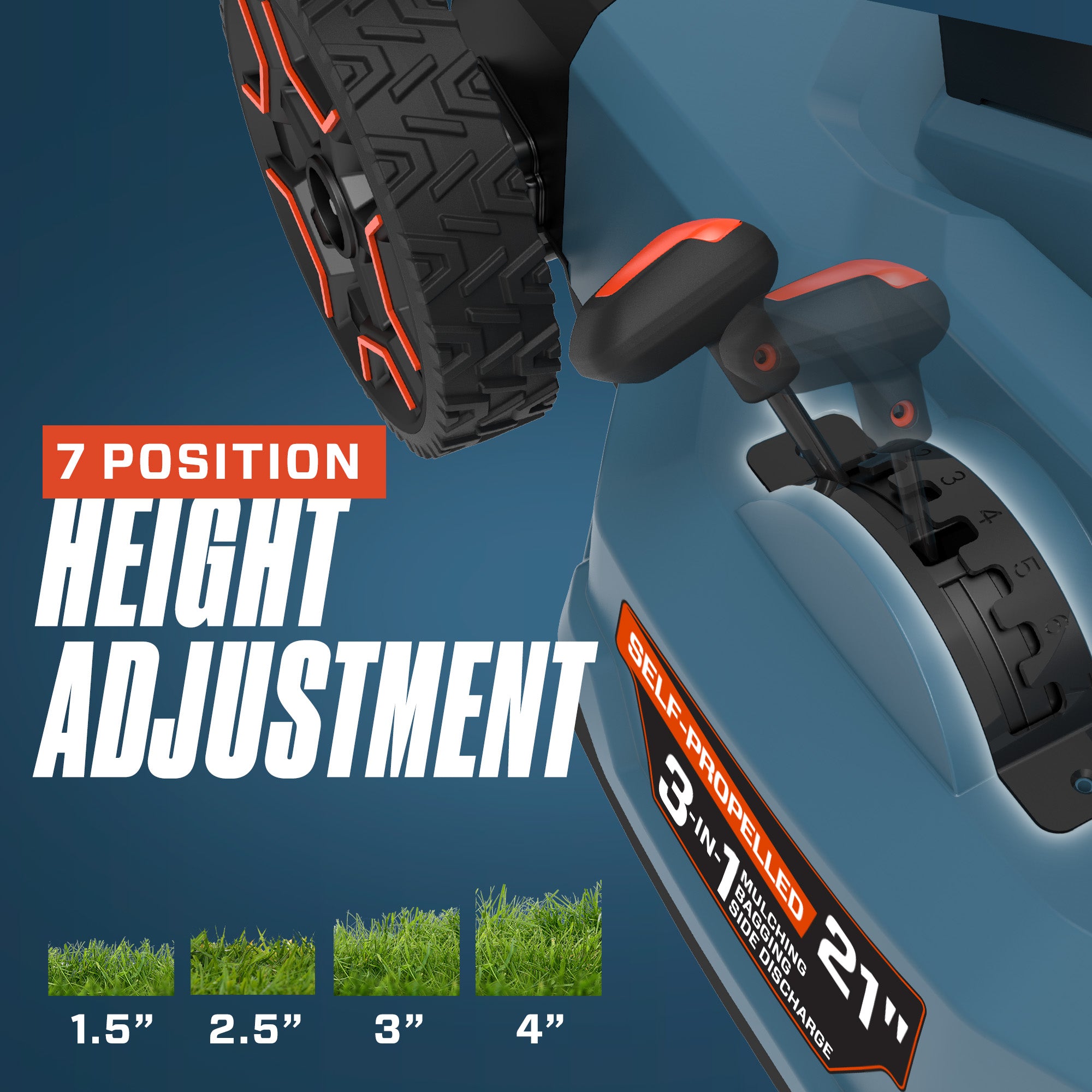 7 Position Height Adjustment 