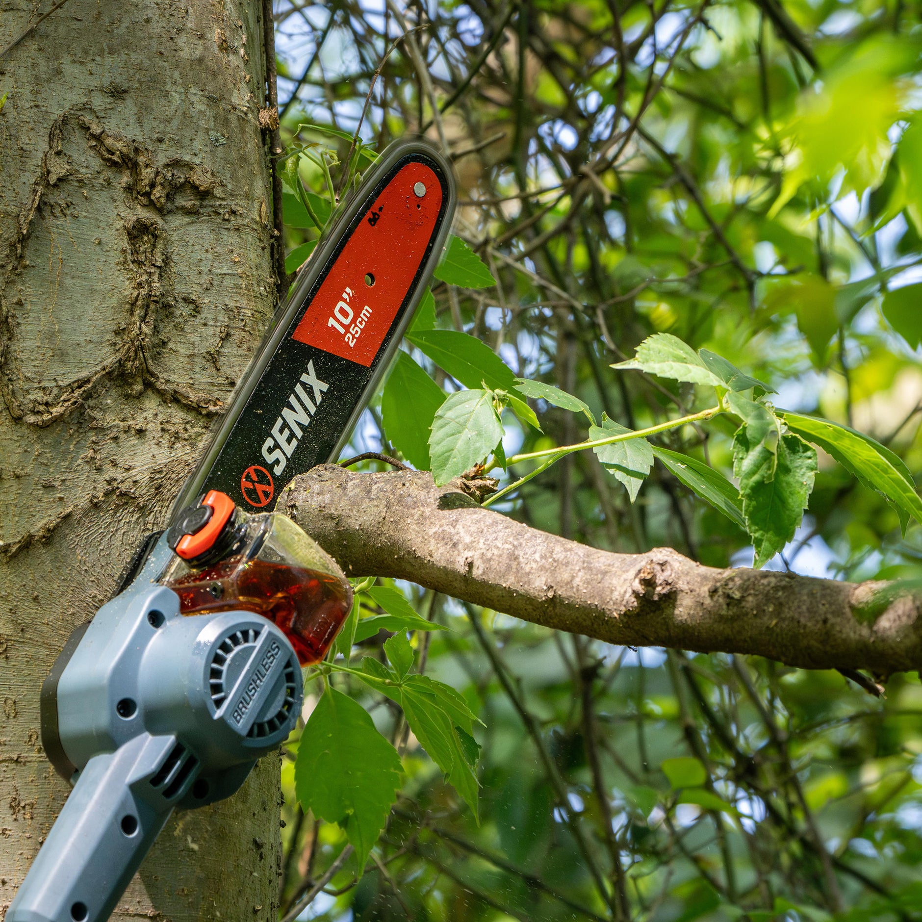 Pole Saws Efficient Tree Trimming Tools Senix Tools SENIX Tools