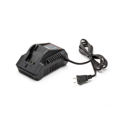 🎁 X2 20V Max* 2 Amp Charger, CHX2 (100% off)