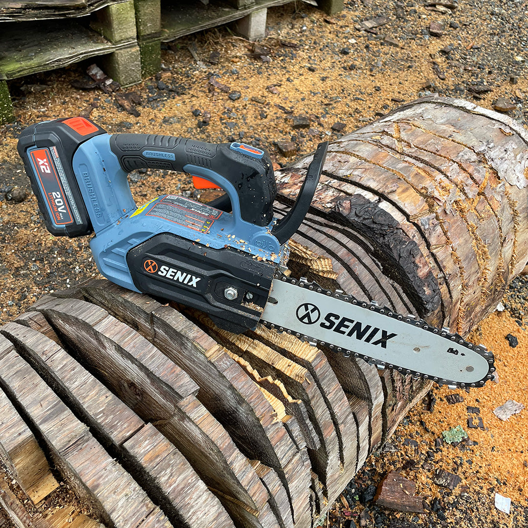 20 Volt Max* 10-Inch Cordless Top Handle Chain Saw (Battery and Charge ...